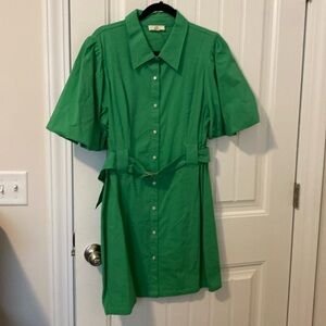 Entro puff sleeves belted waist green dress never worn size xl. Runs small.